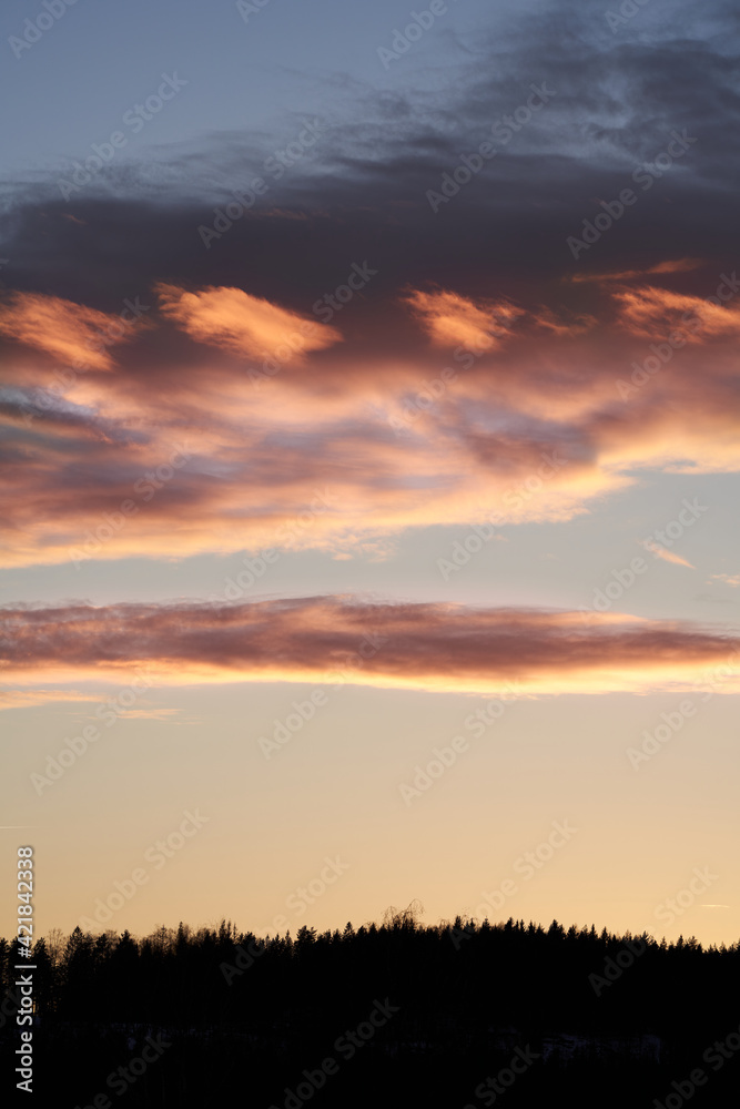 A beautiful evening in the winter forest. The snow is melting and it is spring.  Shot at Bogstad, Oslo, Norway. 