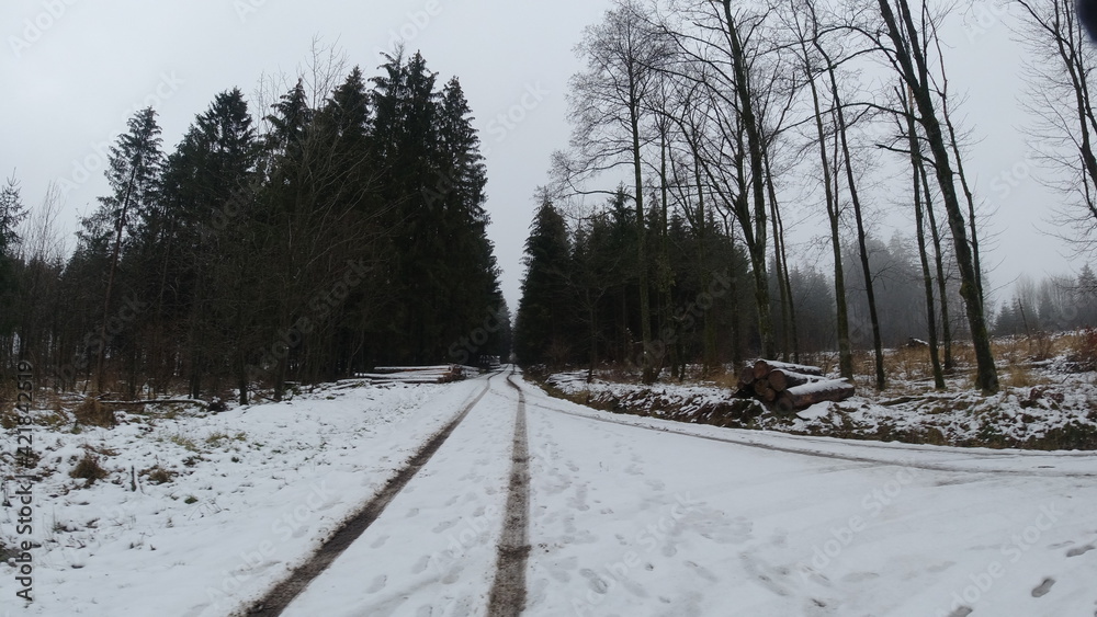 Obraz premium Winter-Wald