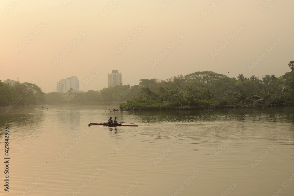 mystic morning at rabindra sarobar lake, kolkata, west bengal, india