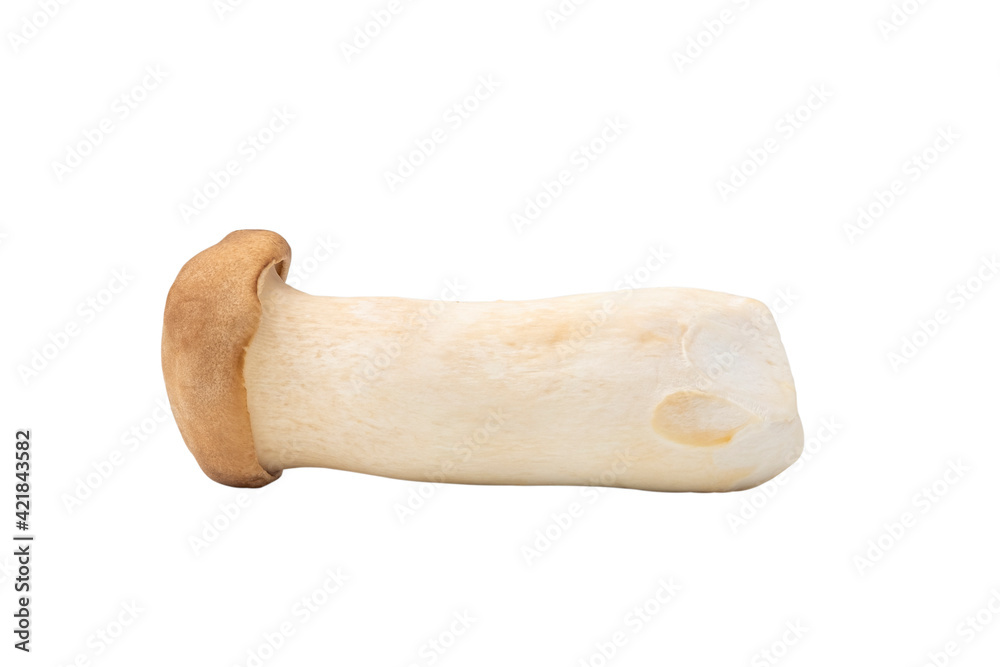 Pleurotus Eryngii (King Oyster Mushroom) isolate on white background with clipping path.