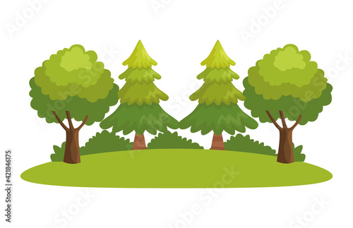 trees forest scene