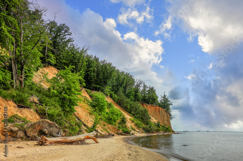 Fototapeta Naklejka Na Ścianę i Meble -   Kaszuby-Kępa Redłowska-Klif Orłowski