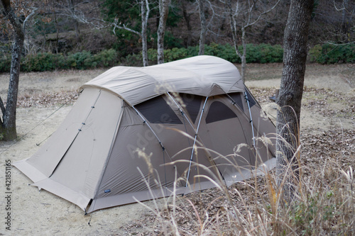 tent in the forest