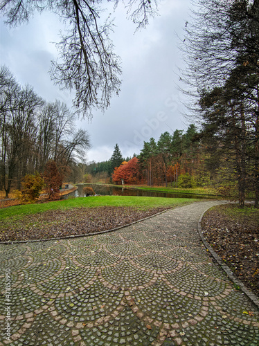 Paving stone road in autumn park near lake, blue sky