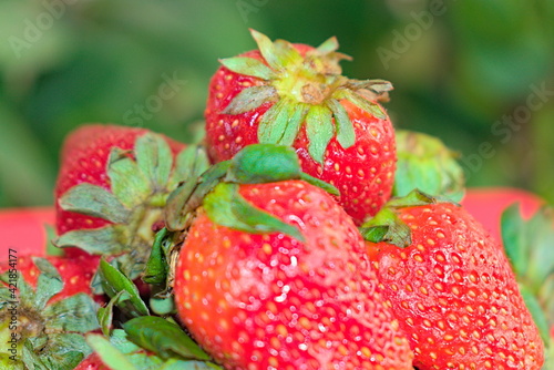 Fresh Strawberries With Background Closeup