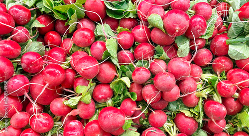 big pile of fresh organic red radishes at a farmers market outdoors garden farm food background