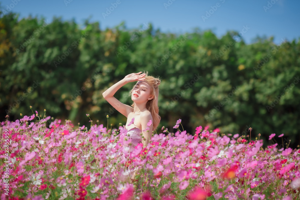 Beautiful girl in a field of cosmos flowers on a sunny day Beautiful girl in a field of cosmos flowers on a sunny day