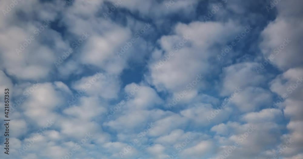 Time lapse of blue sky background with many layers of fluffy tiny stratus cirrus striped clouds. Windy weather 