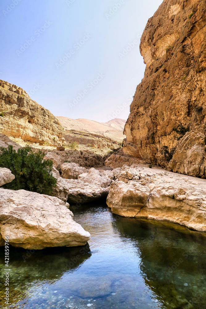River in between the sandstone rocks of a canyon in Oman