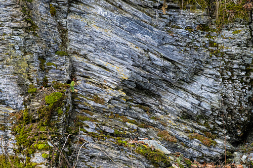 Slate stone, Ilanovska valley, Low Tatras, Slovakia photo