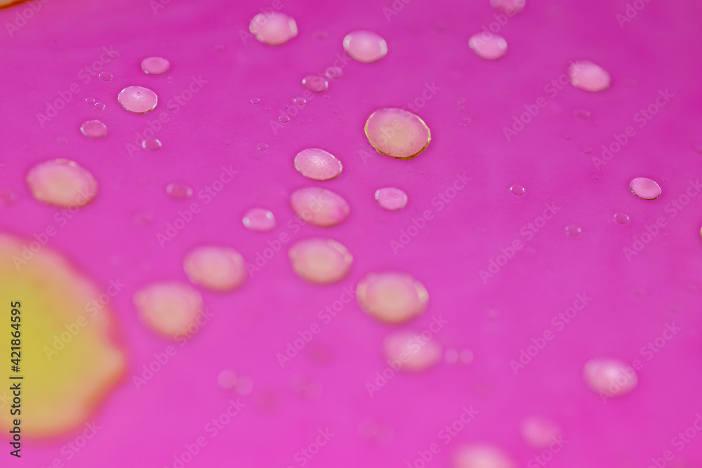 yellow bubbles of oil on pink liquid, background with abstract colorful bubbles. Macro detail for chemistry and research backgrounds