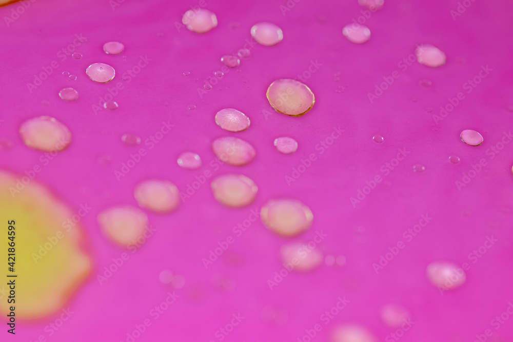 yellow bubbles of oil on pink liquid, background with abstract colorful bubbles. Macro detail for chemistry and research backgrounds yellow bubbles of oil on pink liquid, background with abstract colorful bubbles. Macro detail for chemistry and research backgrounds