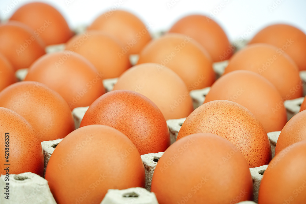 Chicken eggs in carton box,Group of fresh eggs in pater tray.
Chicken eggs in carton box,Group of fresh eggs in pater tray.