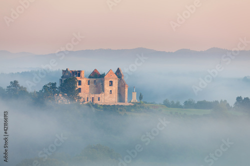 Fototapeta Naklejka Na Ścianę i Meble -  ruins of a monastery in the morning mist