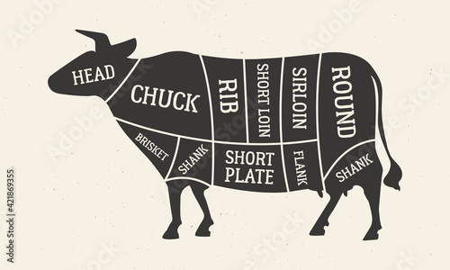 Cuts of Beef. Butcher's diagram with Cow silhouette. Meat cuts of Beef. Vintage butcher guide template for grocery store, meat shop, butchery, restaurant. Vector illustration