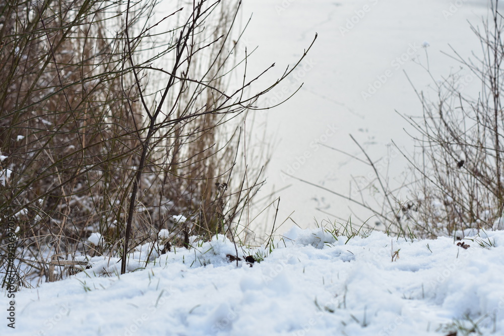 Winterlandschaft