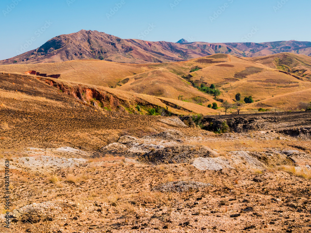Stunning landscape with colorful mountains in the highlands of Madagascar
Stunning landscape with colorful mountains in the highlands of Madagascar
