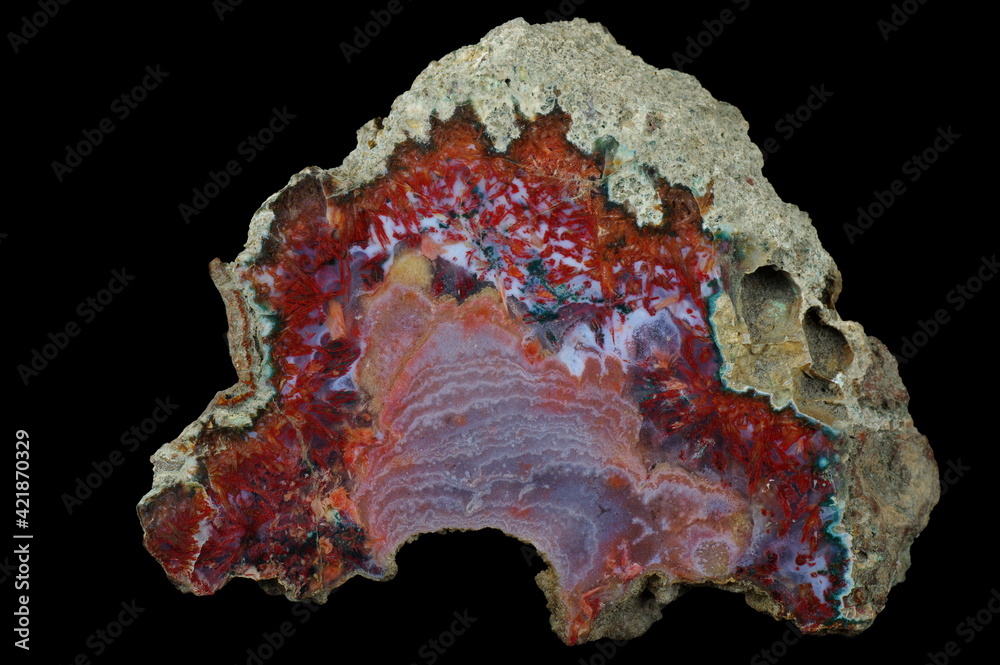A cross-section of agate. Agate with many pseudomorphs.Multicolored silica bands colored with metal oxides are visible. Origin: Rudno near Krakow, Poland. A cross-section of agate. Agate with many pseudomorphs.Multicolored silica bands colored with metal oxides are visible. Origin: Rudno near Krakow, Poland.