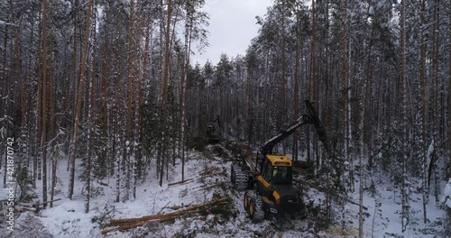 Aerial view of Forest Forwarder and harvester in the winter forest. Forwarder stacks tree logs. Snow falls from the trees. There are tree logs on the ground winth snow. The camera goes up
 photo