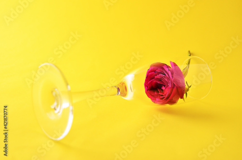 A pink rose with a bud in a glass glass rests on a yellow table. Holiday concept, abstraction. High quality photo