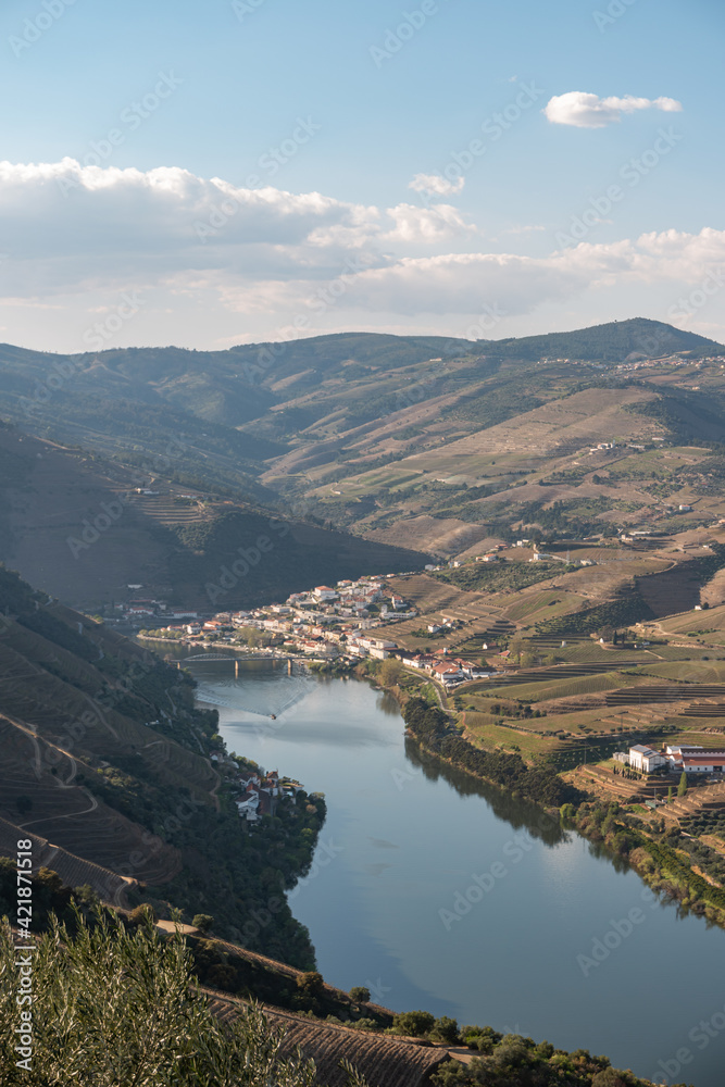 Obraz premium Douro Valley, Portugal. Top view of river, and the vineyards are on a hills.