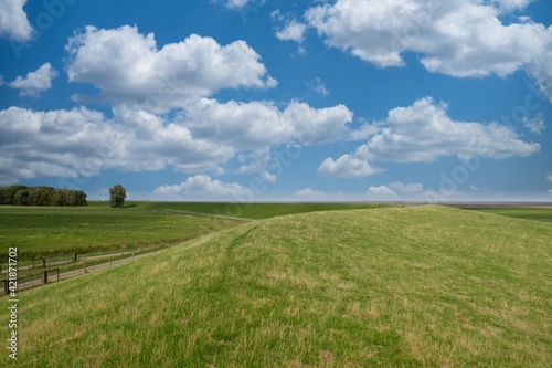 Sommerliche Landschaft mit grüner Wiese und blauem Wolkenhimmel, Nationalpark Wattenmeer in Friesland, Niedersachsen, Deutschland