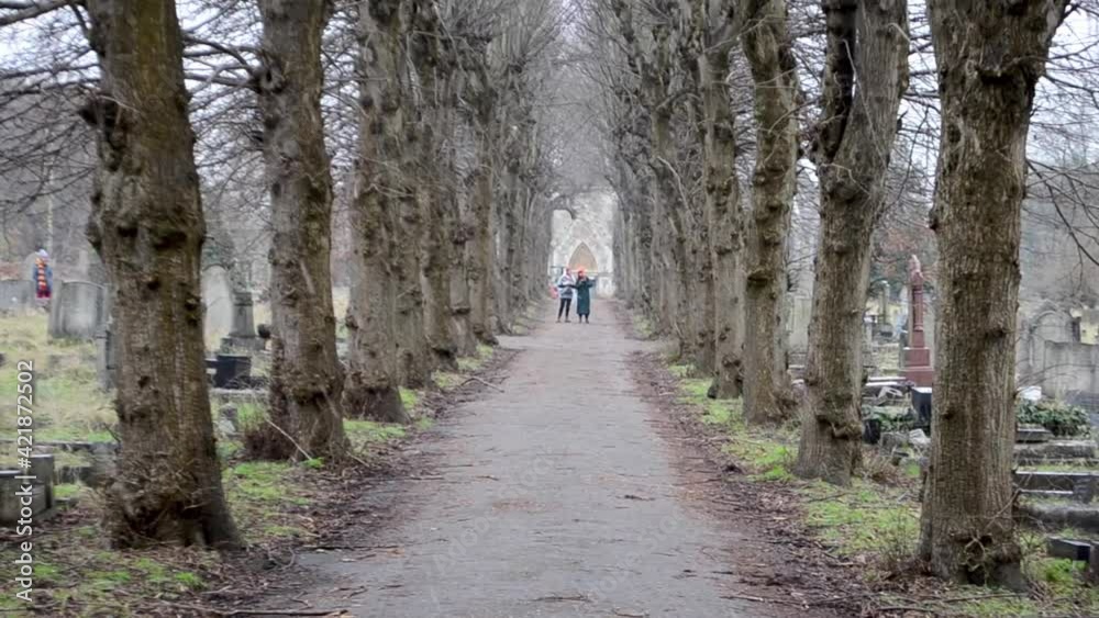 Two people inside a cemetery in the middle of a path surrounded by dry trees as snow falls Two people inside a cemetery in the middle of a path surrounded by dry trees as snow falls