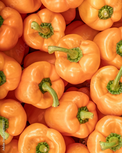 orange-colored bell peppers top view closeup, natural, colorful pattern background
