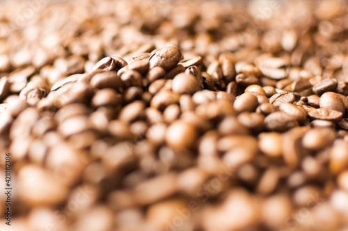 Coffee beans. Coffee beans are spread out on the surface.