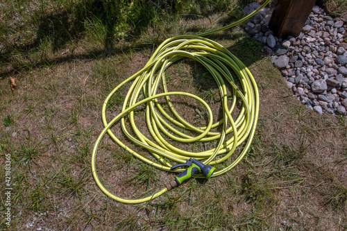  A garden hose coiled in the grass