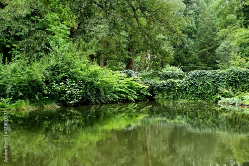 Park, Łazienki Królewskie w Warszawie, alejki spacerowe