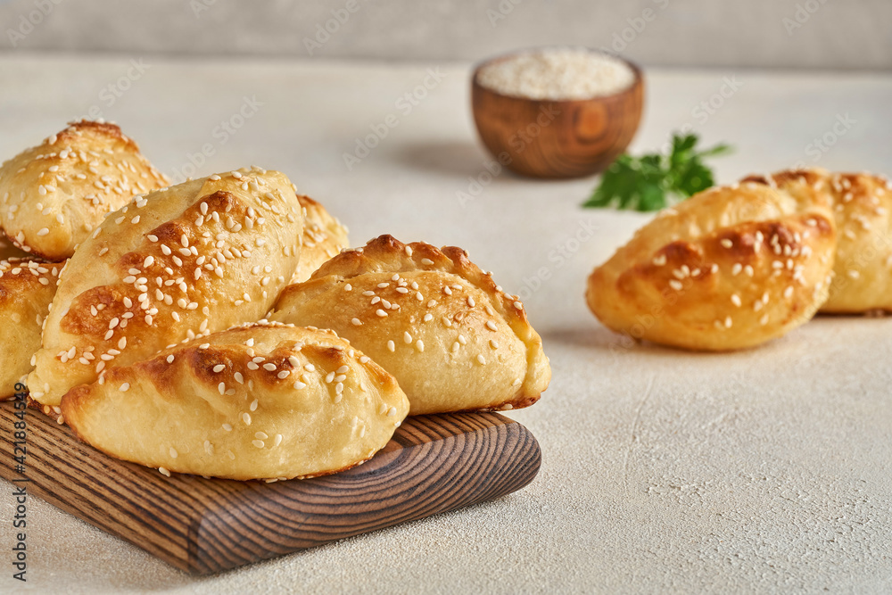 Fresh homemade pasties with meat and vedgetables. Closeup Fresh homemade pasties with meat and vedgetables. Closeup