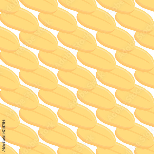 Illustration on theme big pattern identical types peanut