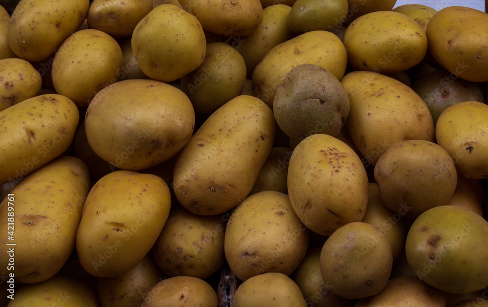 Basket full of delicious potatoes Basket full of delicious potatoes