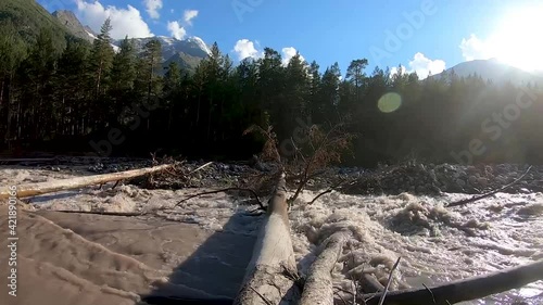 Dirty mountain river and fallen tree