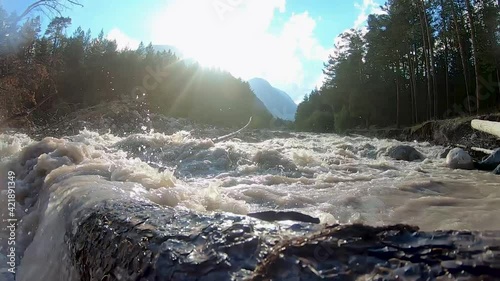 Stream of mountain river over fallen tree
