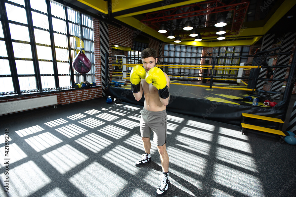 Obraz premium Collected sportsman in the boxing hall practicing boxing punches during training