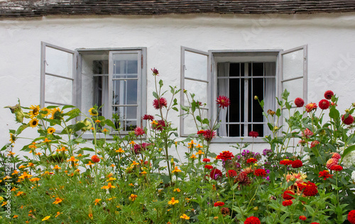 Fenster mit Blumen © Irmgard
