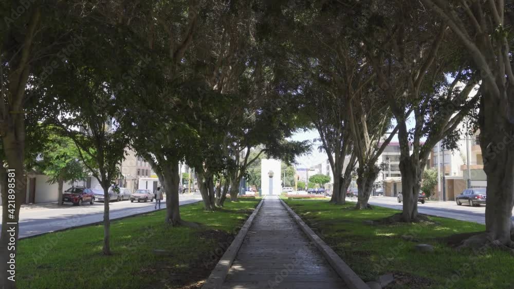 first person view walking through the middle of a park between trees that give a lot of shade between two streets in the day in 4k first person view walking through the middle of a park between trees that give a lot of shade between two streets in the day in 4k