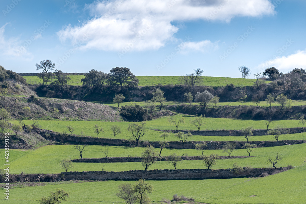 green fields with terraced fields and almond trees
