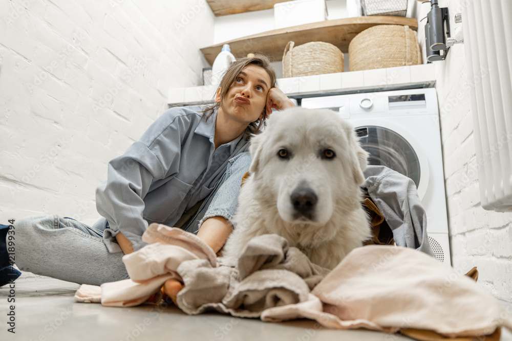 Woman with dog having fun in the laundry room at home Woman with dog having fun in the laundry room at home