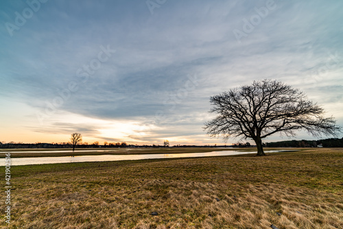 sunrise over the backwaters