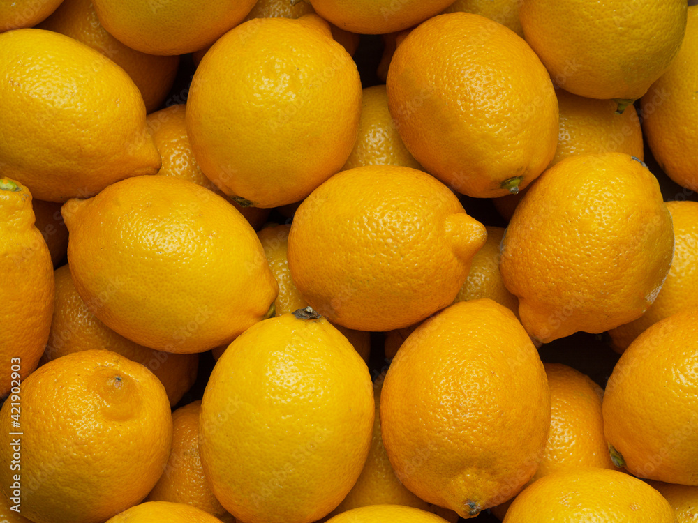 The background of bright ripe, yellow lemons in full screen. The texture of greenhouse fruits in the window of the market, store. Top view, close-up, food wallpaper. The concept of harvesting. The background of bright ripe, yellow lemons in full screen. The texture of greenhouse fruits in the window of the market, store. Top view, close-up, food wallpaper. The concept of harvesting.
