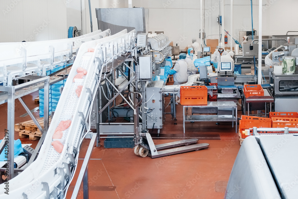 Line for production of semi-finished meat products.Industrial equipment ...