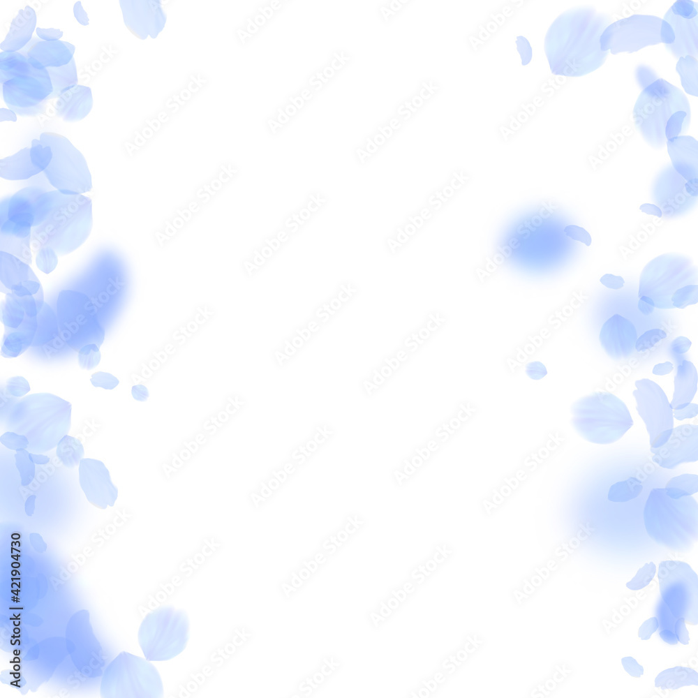 Dark blue flower petals falling down. Great romant Dark blue flower petals falling down. Great romant