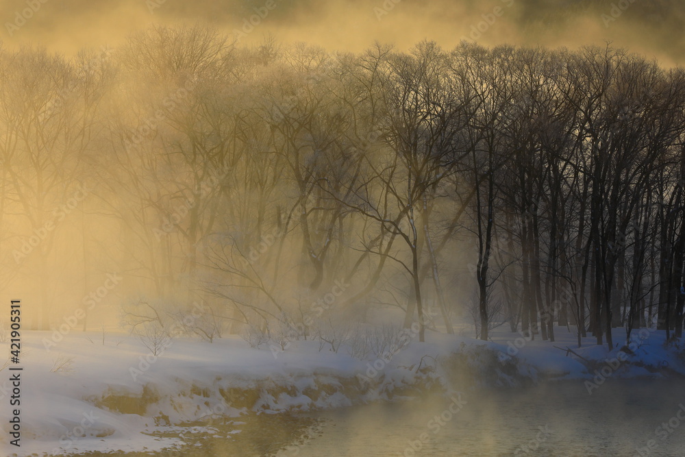Fototapeta premium 岩手県西和賀町 冬の和賀川