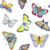 Colorful watercolor butterflies, seamless botanical pattern. Bright butterflies for decorating gifts. Suitable for wrapping paper, wallpaper, prints, card designs and invitations.