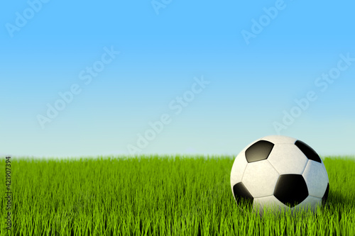 3d illustration, soccer ballon on grass