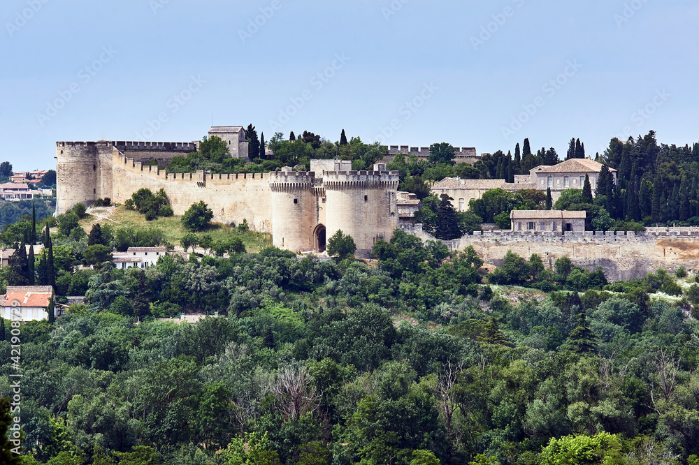 stone walls and towers of the medieval Castle  in the city of Avignon