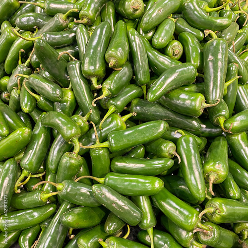 jalapeno pepper display green hot spicy at farmers market fresh produce organic vegetable fruit food background